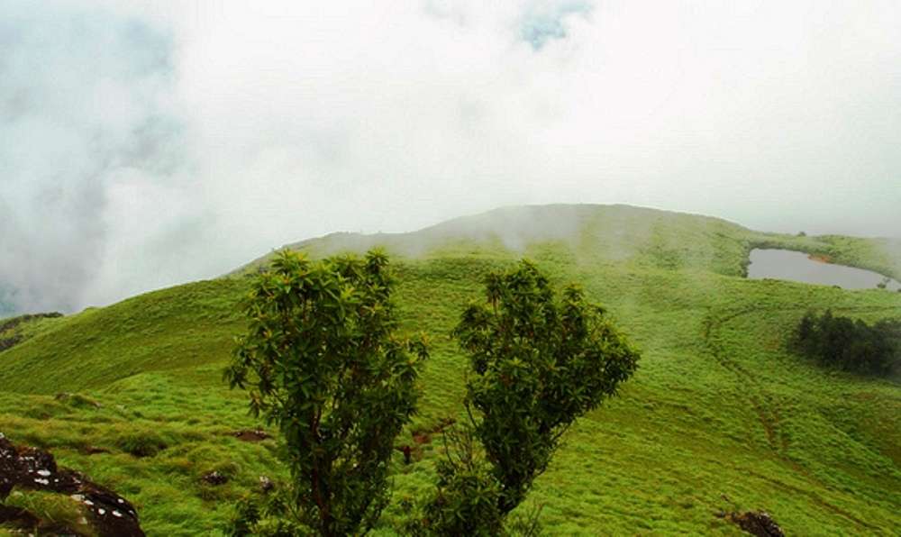 Wayanad 