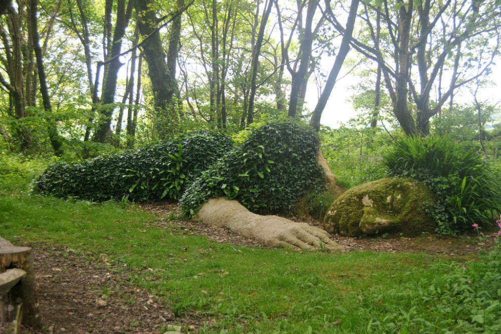 The Lost Gardens Of Heligan Mevagissey Cornwall Uk Fasci Garden