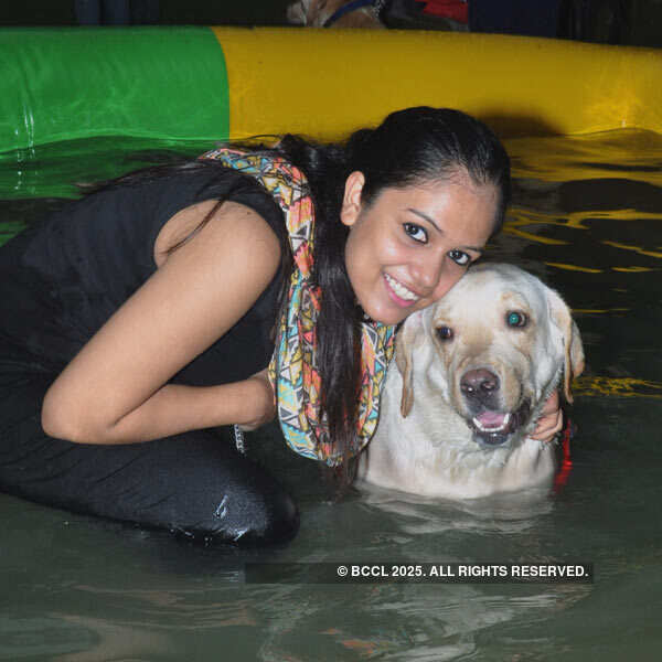 Pooch pool party in Kolkata