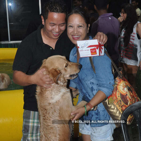 Pooch pool party in Kolkata
