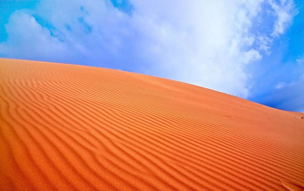 Oleshky Sands