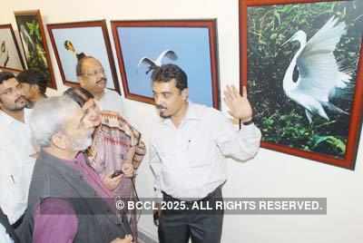 Wildlife photo exhibition