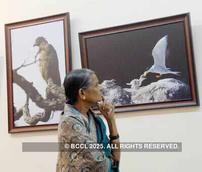 Wildlife photo exhibition