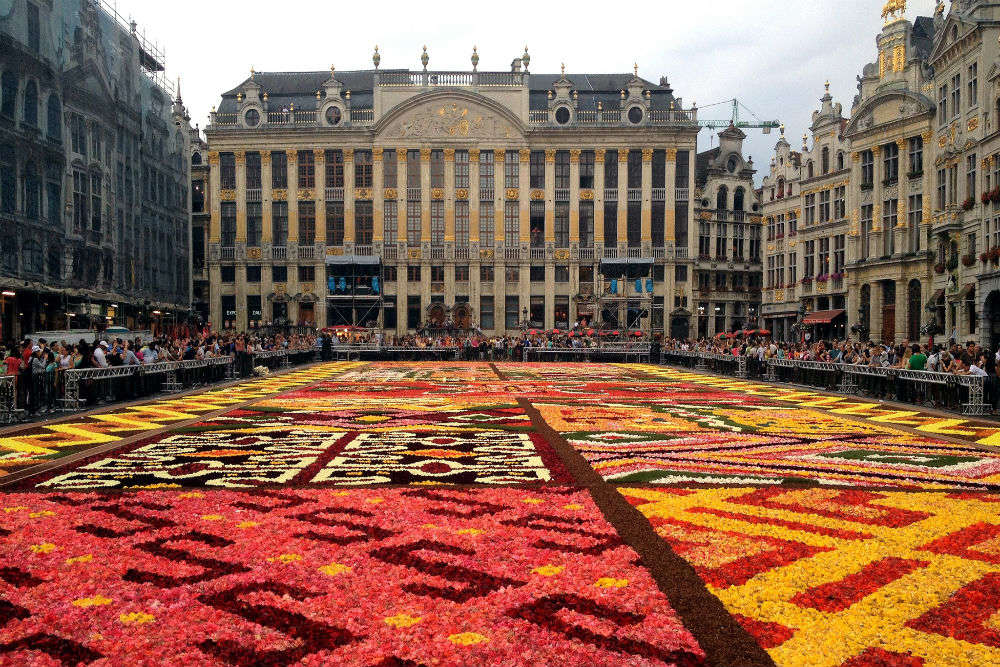 Brussels Flower Carpet, Brussels - Times of India Travel