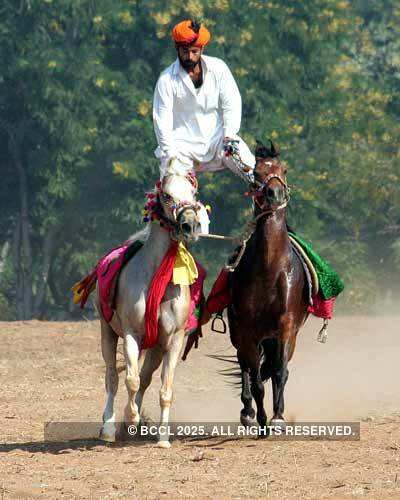 Horse show