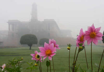 Fog blinds Delhi