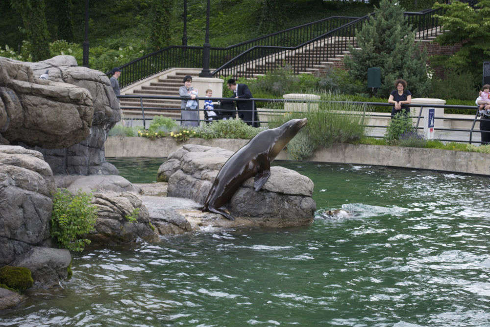 Prospect Park Zoo, New York - Times of India Travel