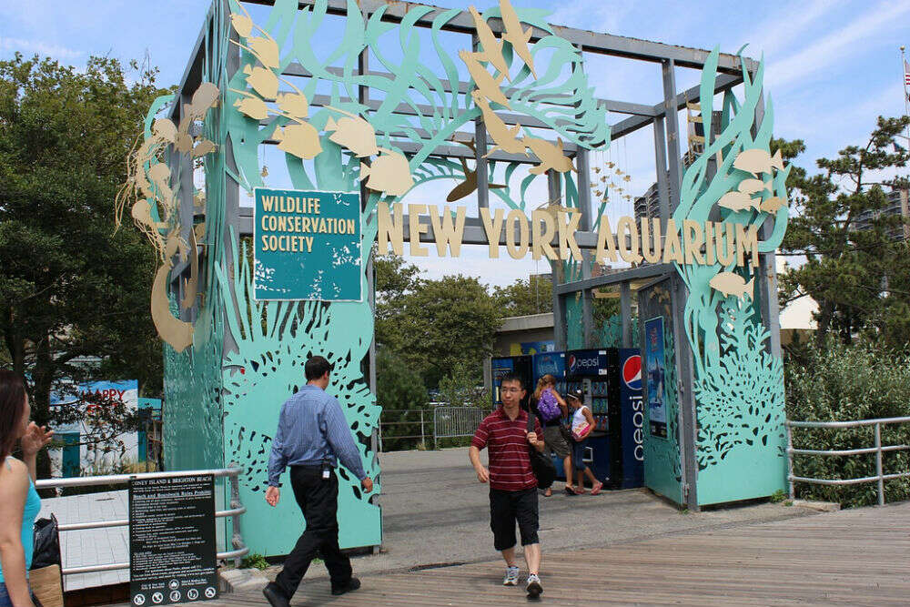 New York Aquarium