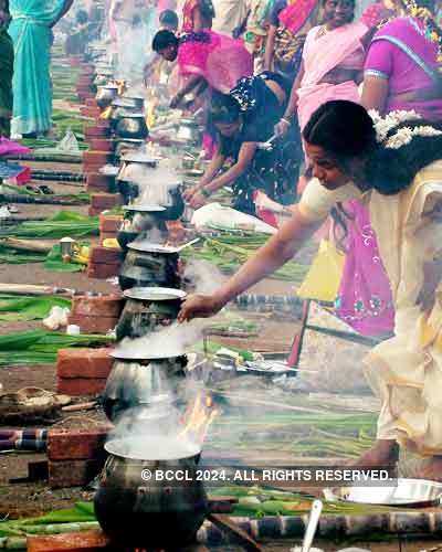 Pongal celebrations