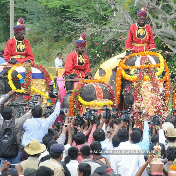 Dasara elephants arrive in Mysore