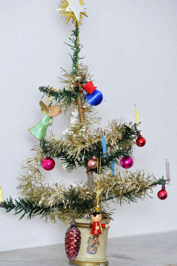 Look in the past: The world's oldest