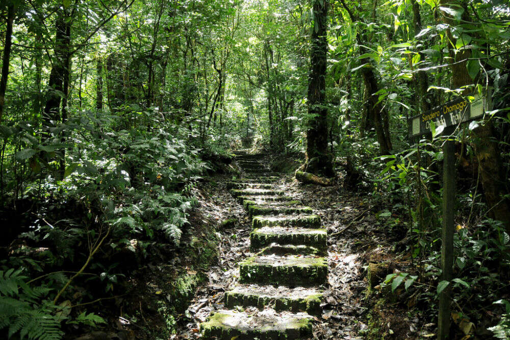 Monteverde Reserve Monteverde Reserve
