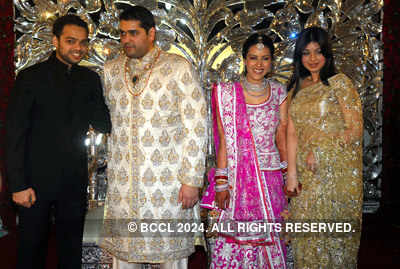 Rajiv & Himani's wedding