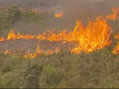 Wildfires claim 25 lives