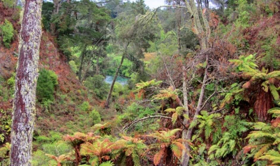 Waikato River Trail, New Zealand