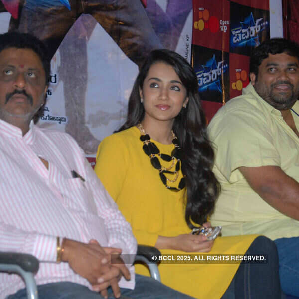 Power Star: Press meet