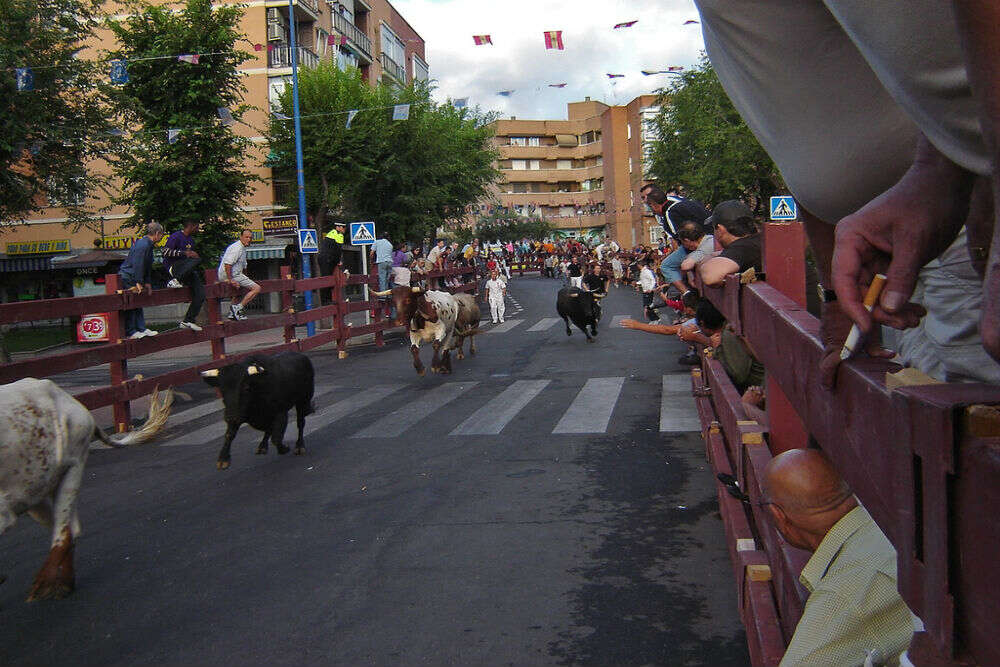Pamplona Running of the Bulls: an adrenaline-pumping event Pamplona Running of the Bulls: an adrenaline-pumping event