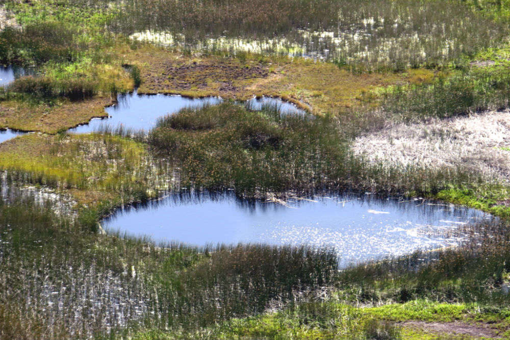 sarek national park rapa river sweden rapaatno happtrips com times of india travel sarek national park rapa river sweden