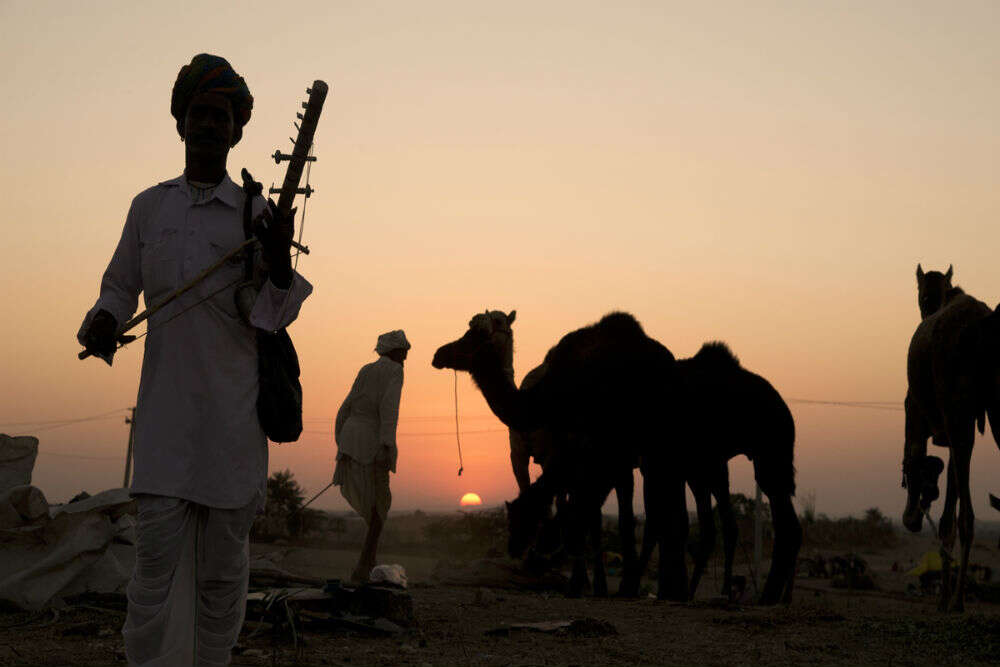 Pushkar Camel Fair Pushkar festival