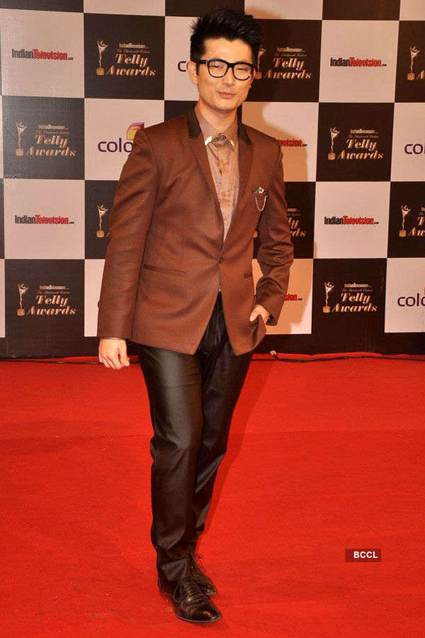 Indian Telly Awards 2014