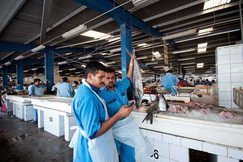 The Fish Market aphoto82497