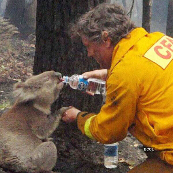 Best pictures on social media