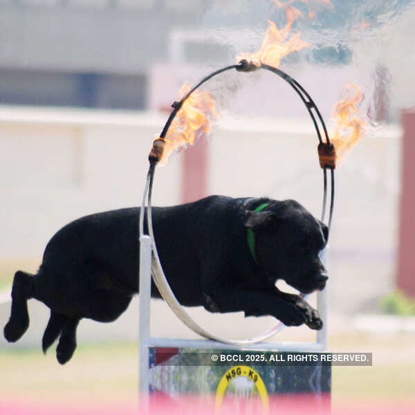 NSG celebrates 30th Raising Day