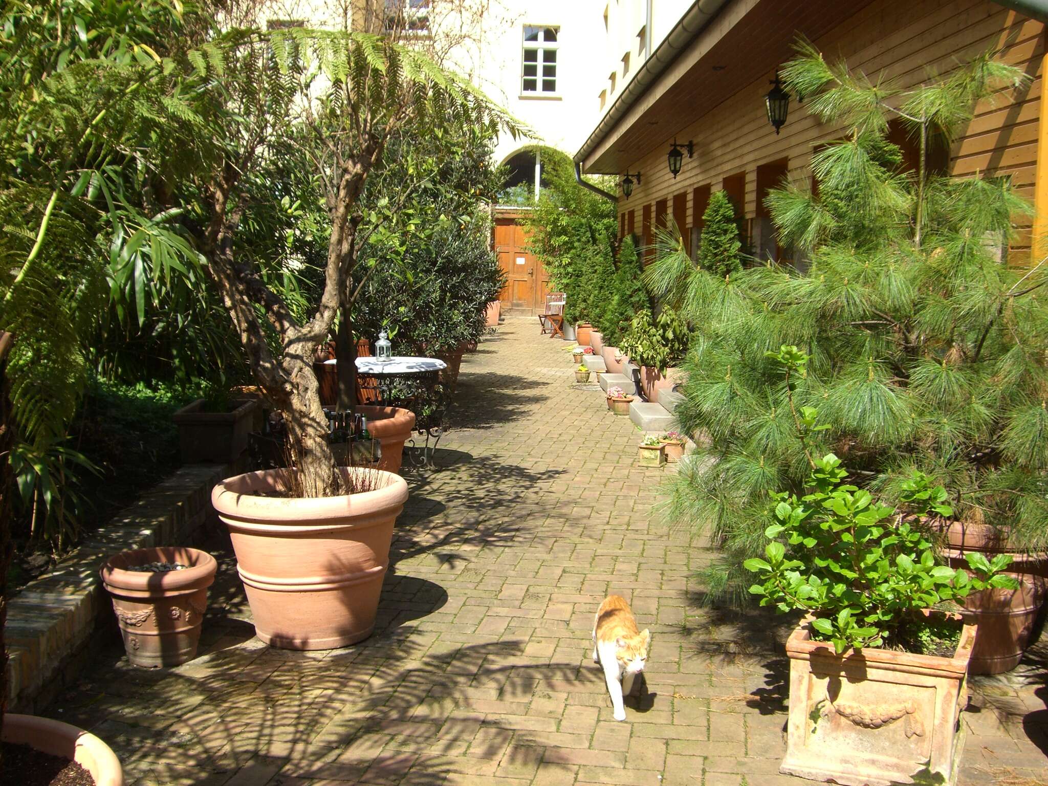 Honigmond Garden Hotel