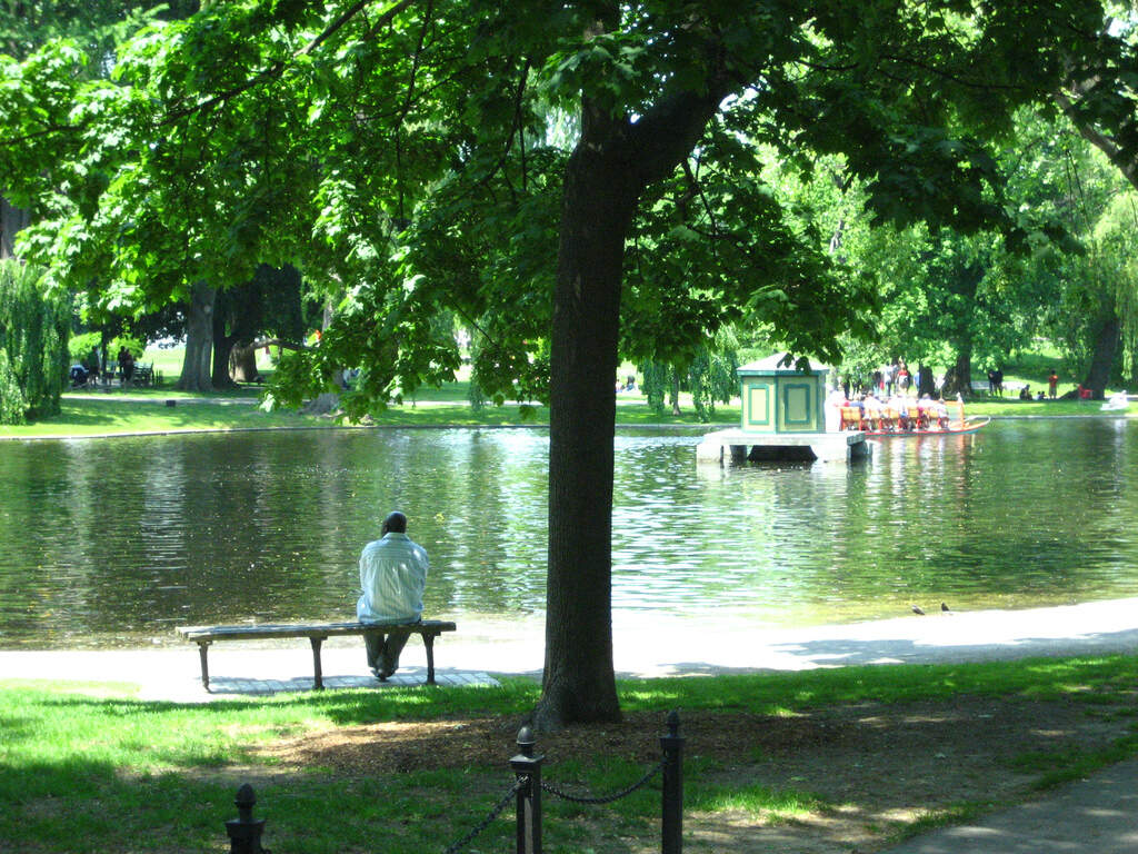 Boston Common