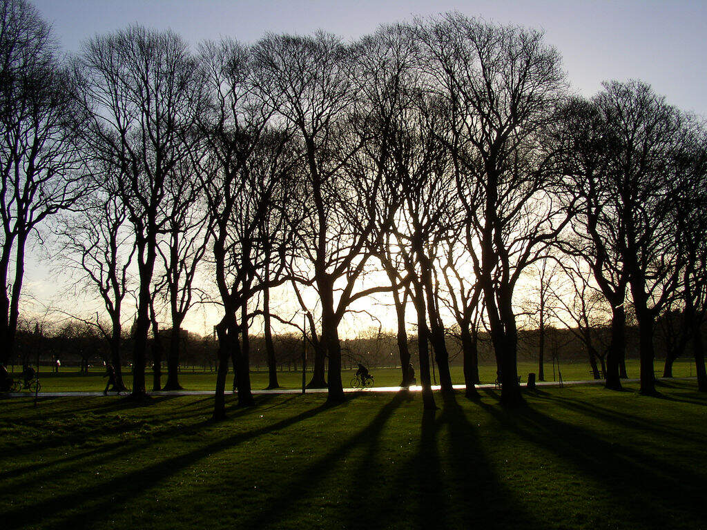 The Meadows The Meadows