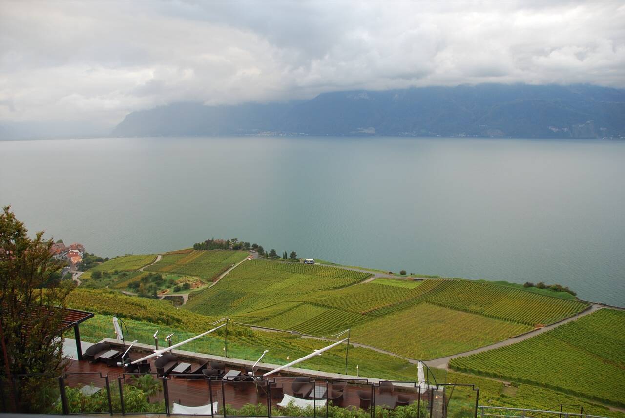 Lavaux Vineyard Terraces Lavaux Vineyard Terraces
