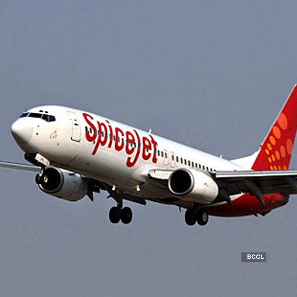 SpiceJet flight hits animal before take-off