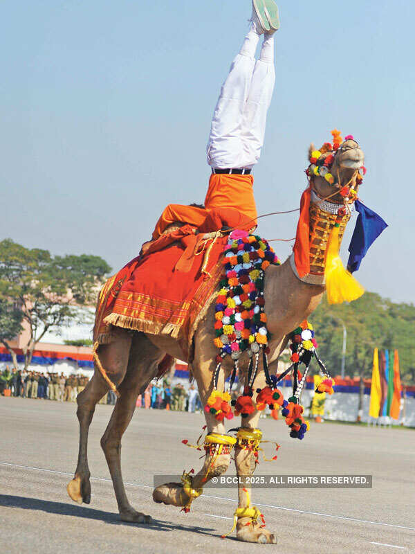 BSF's 49th Raising Day