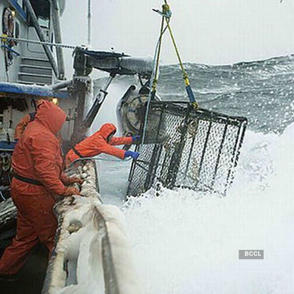 Toughest reality shows ever