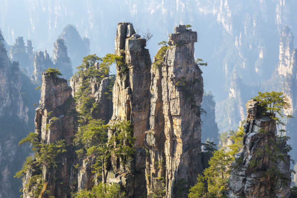Zhangjiajie National Forest Park The Place That Inspired Avatar China Times Of India Travel