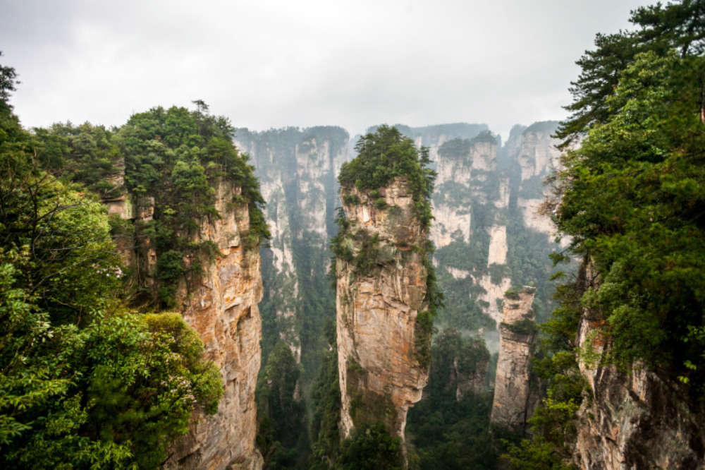 Zhangjiajie National Forest Park The Place That Inspired Avatar China Times Of India Travel