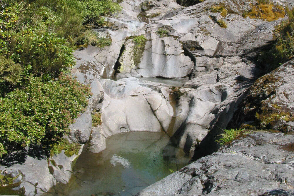 Wilkies Pools Wilkies