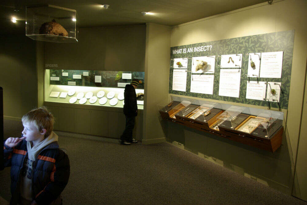 Otago Museum Otago Museum