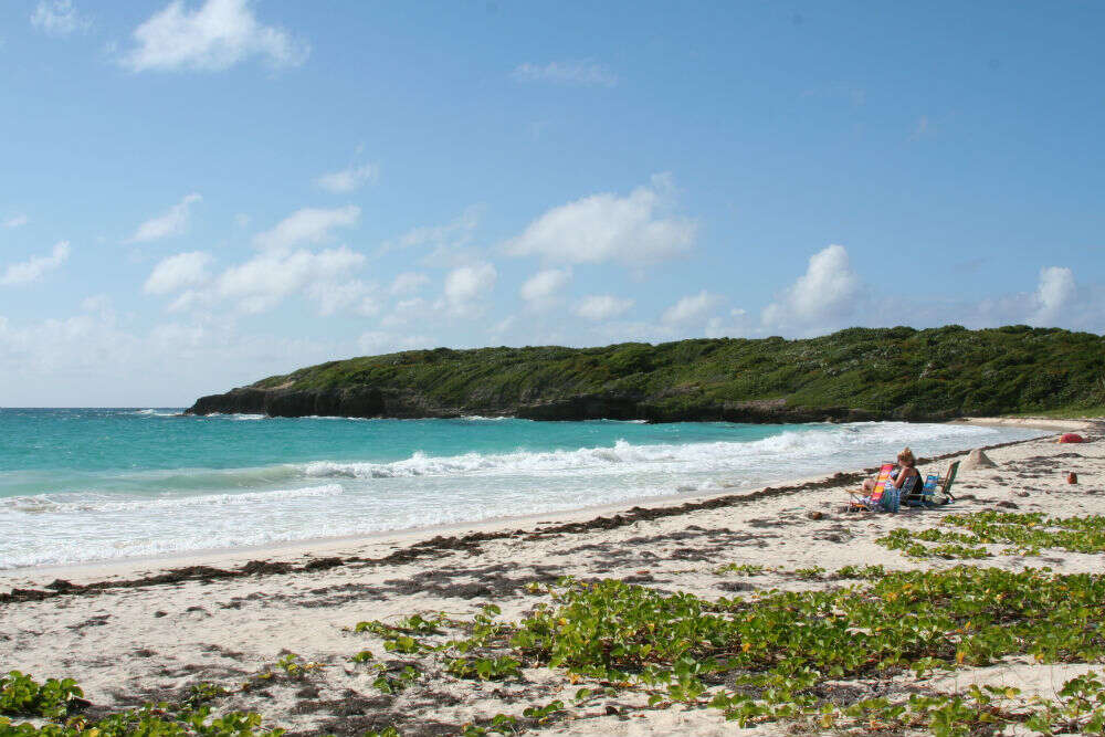 Vieques Vieques