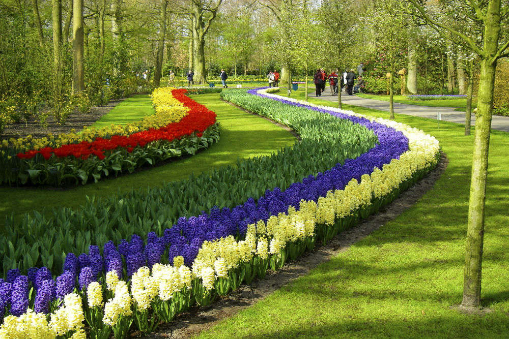 Keukenhof |Sightseeing in Netherlands | Times of India Travel