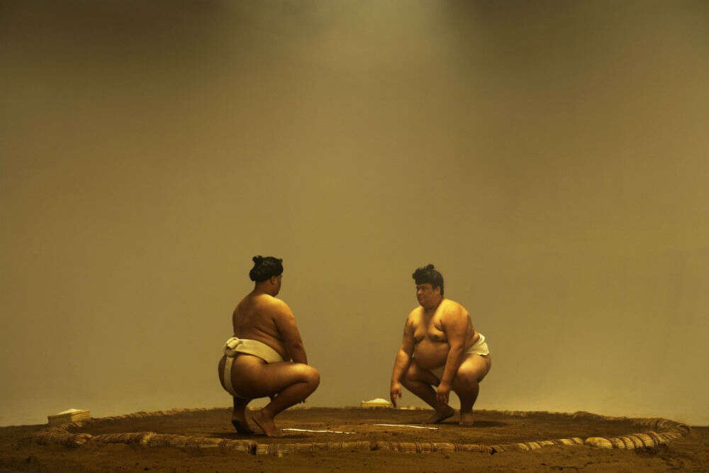Sumo