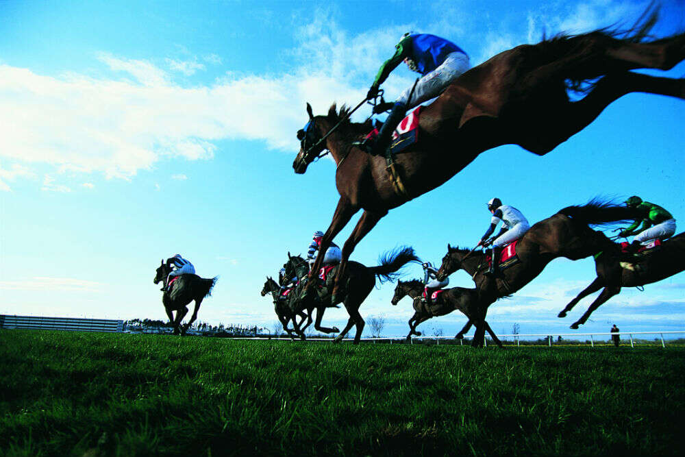 Grand National The Grand National