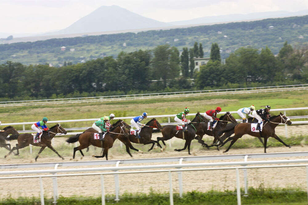 Kentucky Derby The Kentucky Derby
