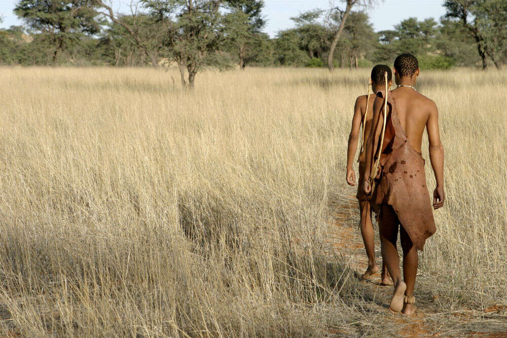 The San of the Kalahari