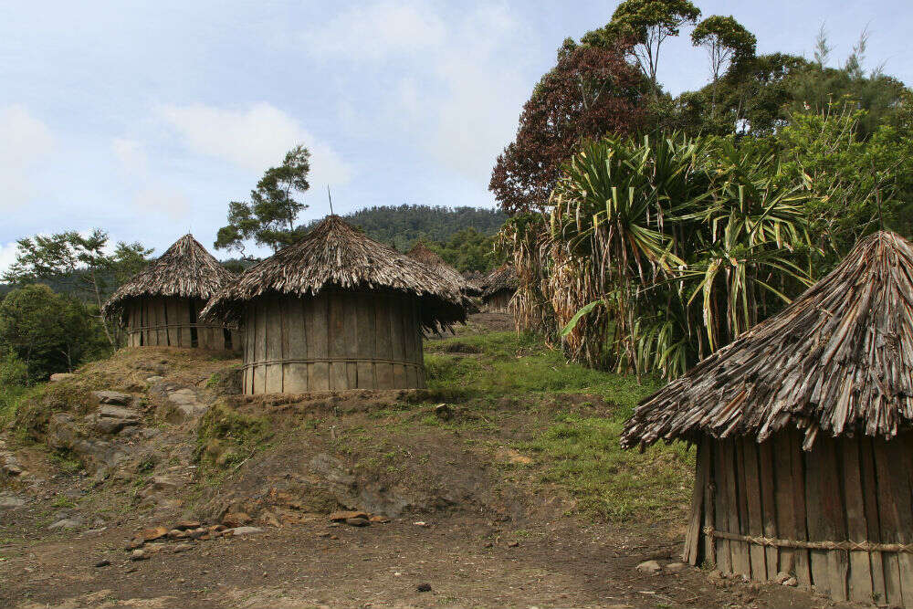 Papuan Tribes Papua New Guinea