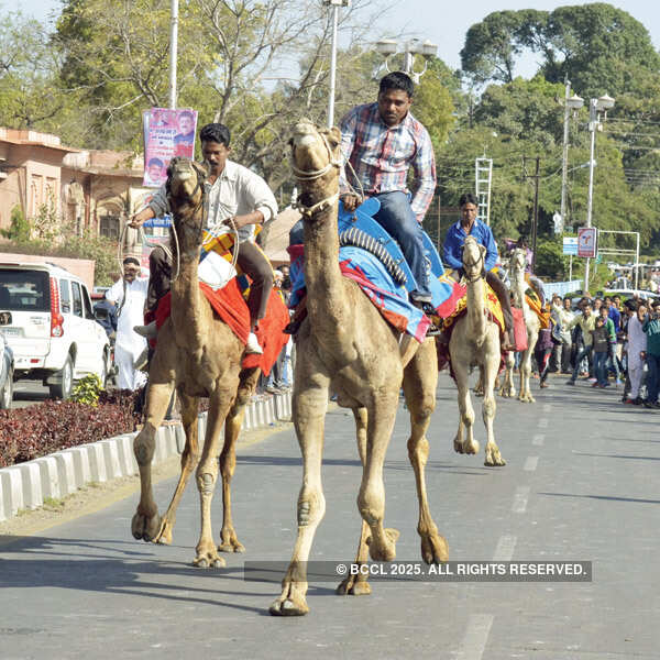 Bhoj Adventure Fest in Bhopal