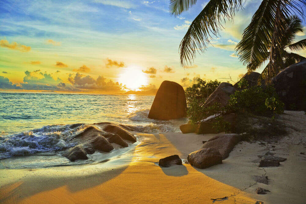 5 places to see birds and wildlife in Seychelles Seychelles