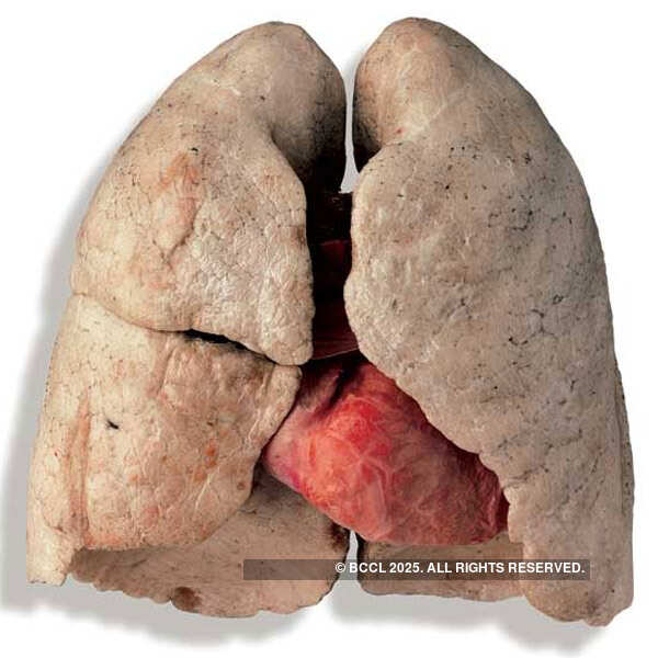 The Best April Fools' Day Hoaxes