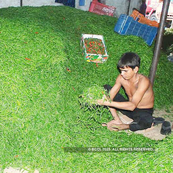 30 farmers dead in 4 days as rain, hail hit north India