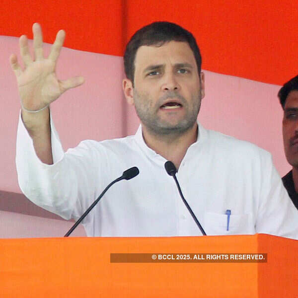 Internet is being snatched for corporates: Rahul